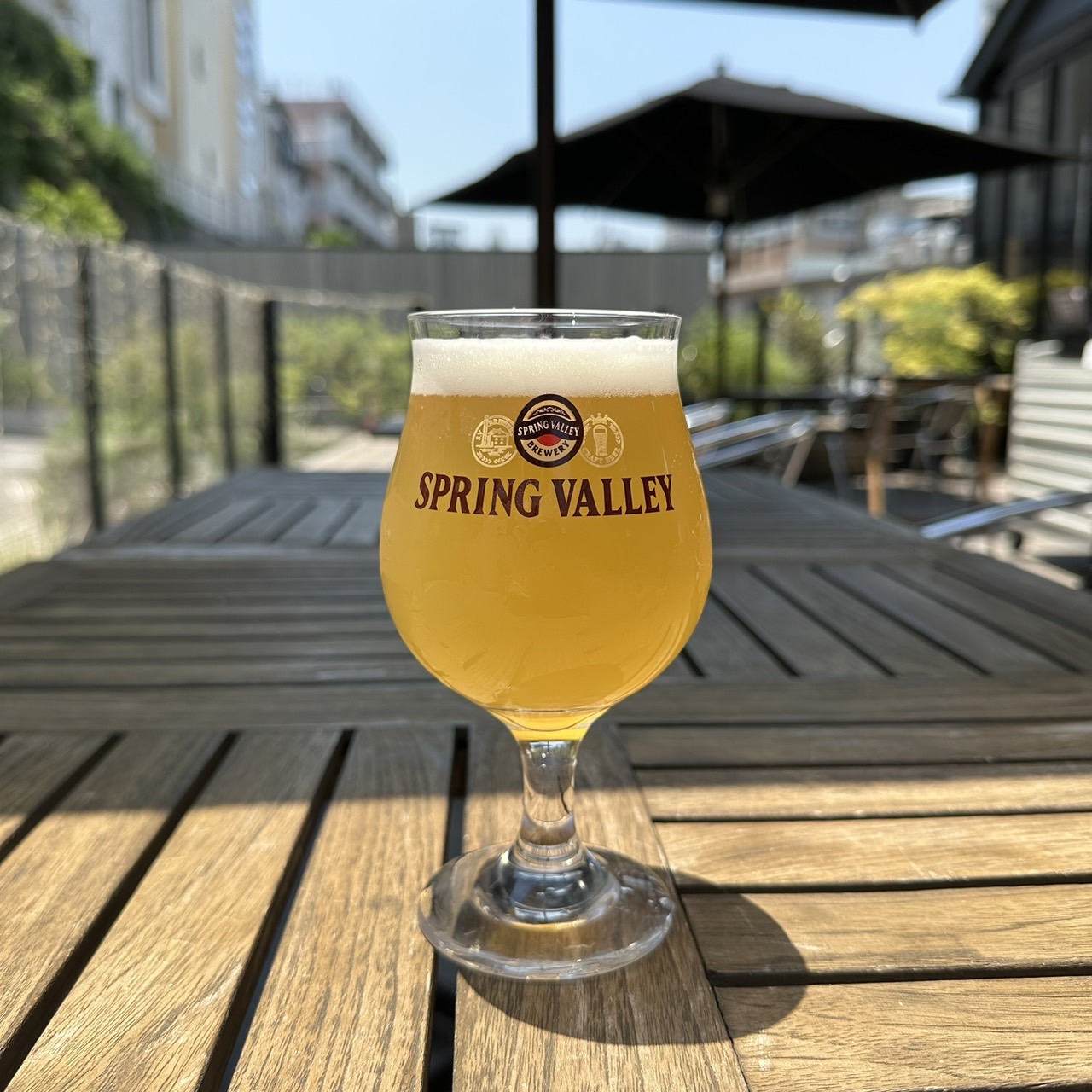 SVB LAGER｜OUR CRAFT BEER | スプリングバレー